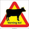 Varningsskylt för ko. Svart ko-siluett på gul och röd varningstriangel och texten Varning ko!